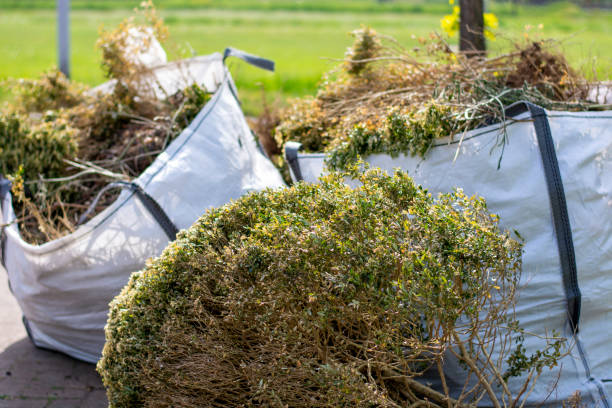 Best Furniture Removal Near Me  in Halawa, HI